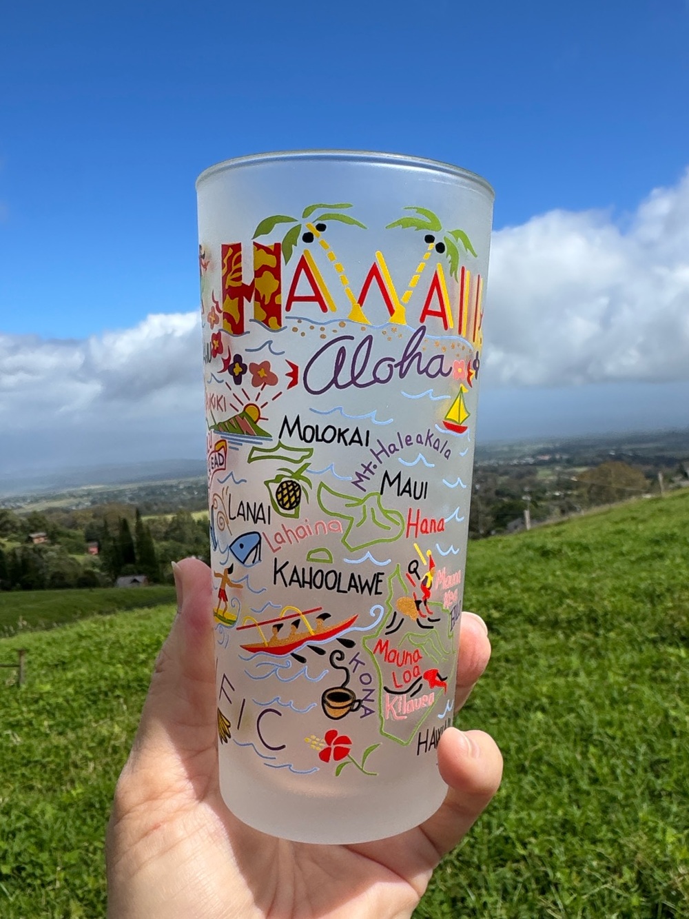 Y2K 2004 Hawaii Islands aloha Retro Tiki 13 ounce drinking glass